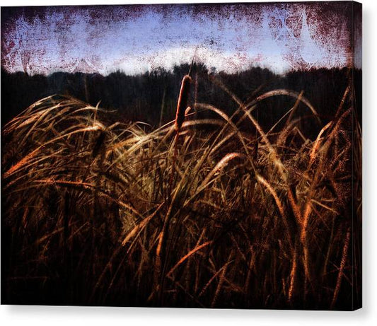 Cattails In The Wind - Canvas Print