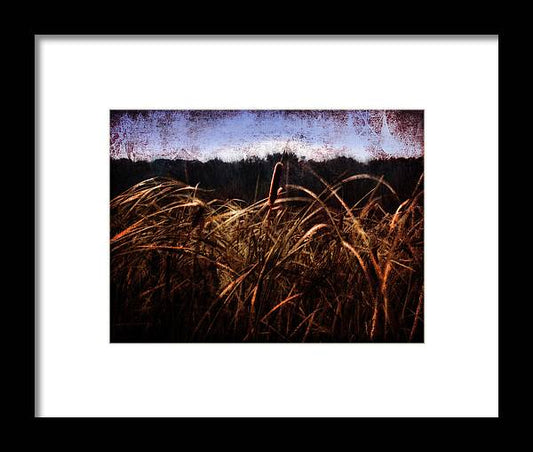 Cattails In The Wind - Framed Print