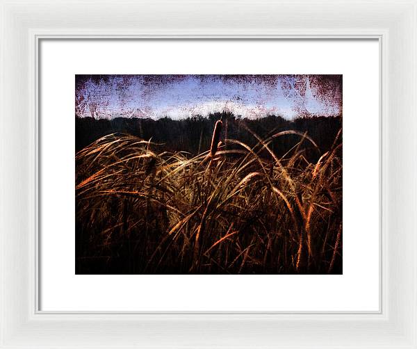 Cattails In The Wind - Framed Print