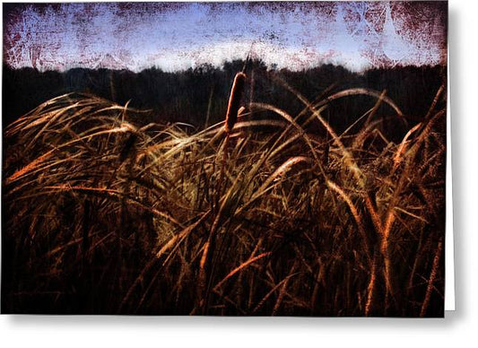 Cattails In The Wind - Greeting Card