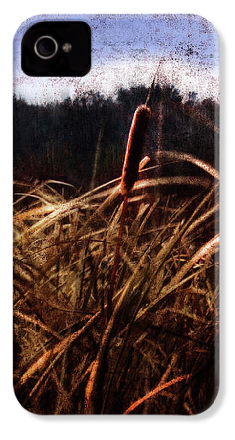 Cattails In The Wind - Phone Case