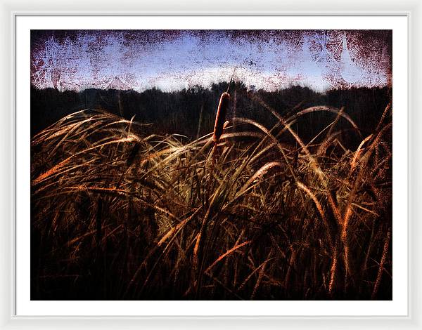 Cattails In The Wind - Framed Print