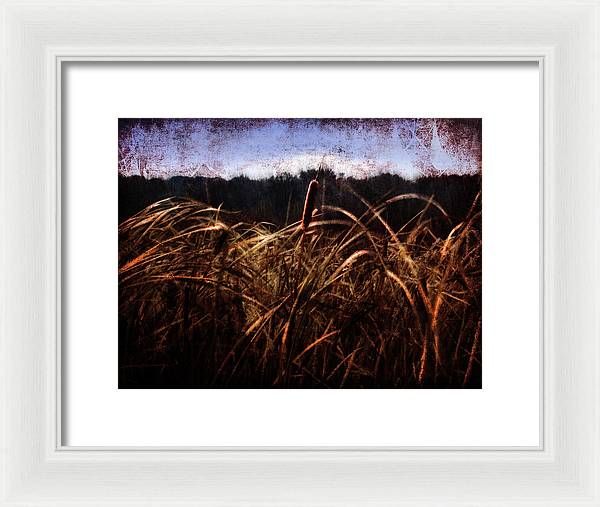 Cattails In The Wind - Framed Print