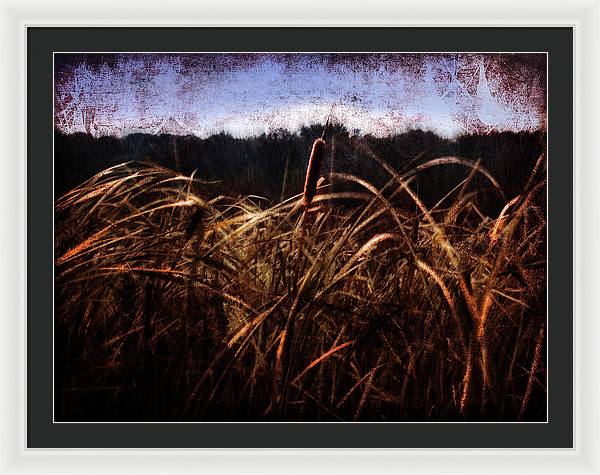 Cattails In The Wind - Framed Print