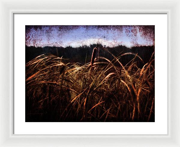 Cattails In The Wind - Framed Print