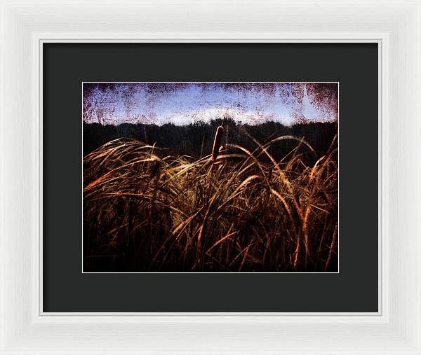 Cattails In The Wind - Framed Print