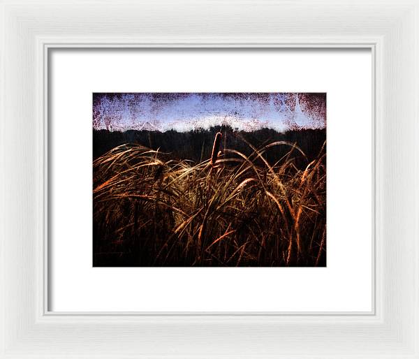 Cattails In The Wind - Framed Print