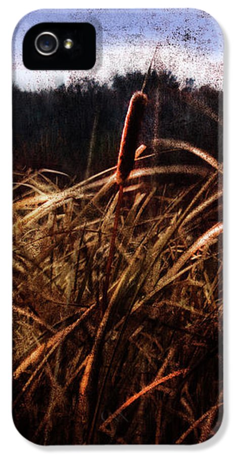 Cattails In The Wind - Phone Case