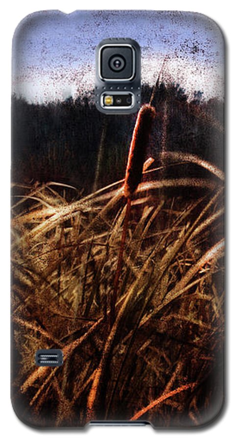 Cattails In The Wind - Phone Case