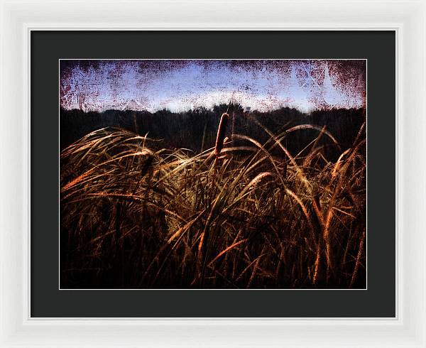 Cattails In The Wind - Framed Print