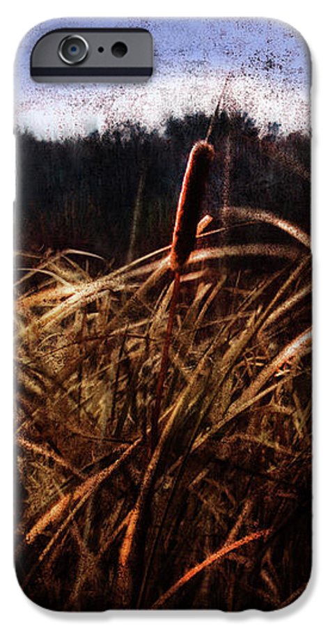 Cattails In The Wind - Phone Case