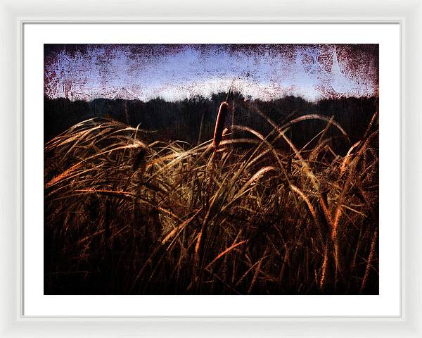 Cattails In The Wind - Framed Print