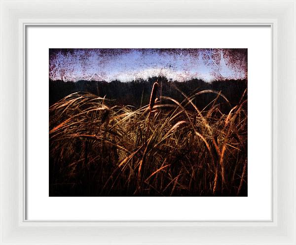 Cattails In The Wind - Framed Print