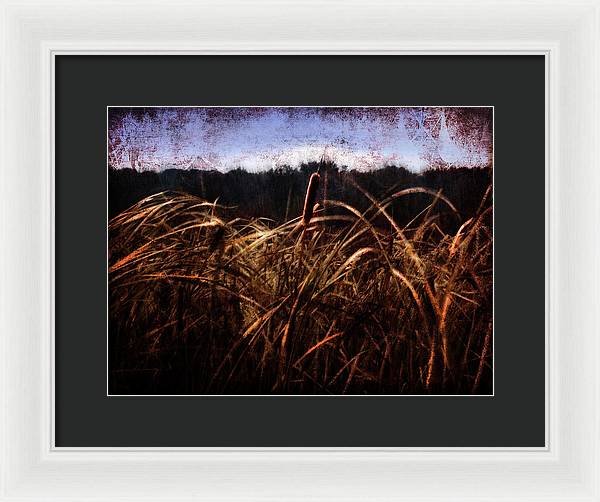 Cattails In The Wind - Framed Print