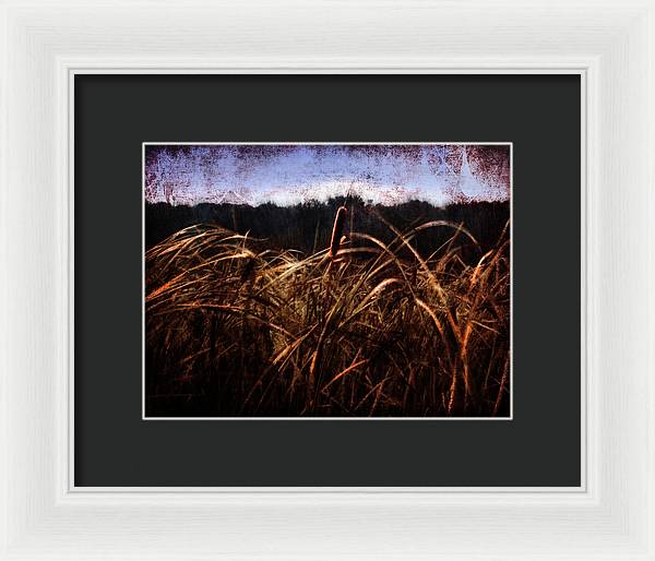 Cattails In The Wind - Framed Print