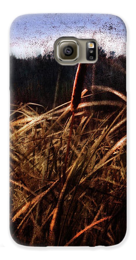 Cattails In The Wind - Phone Case