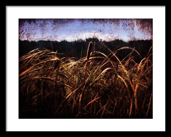 Cattails In The Wind - Framed Print