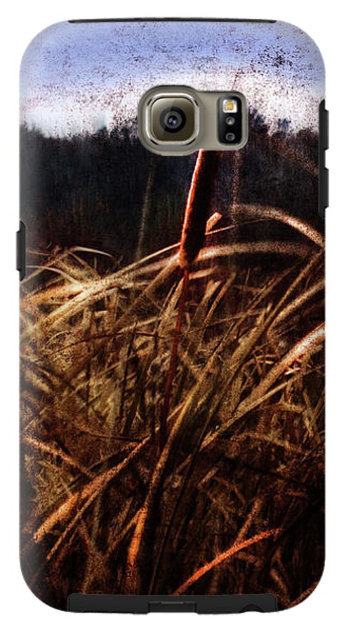 Cattails In The Wind - Phone Case