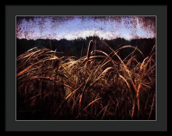 Cattails In The Wind - Framed Print