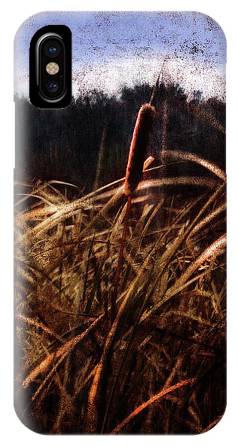 Cattails In The Wind - Phone Case