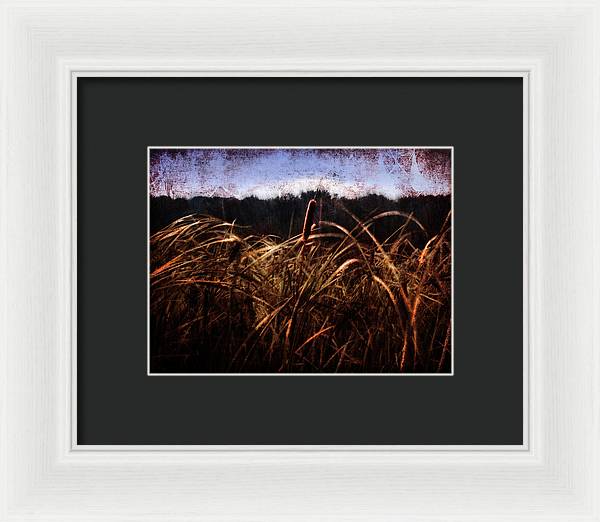 Cattails In The Wind - Framed Print