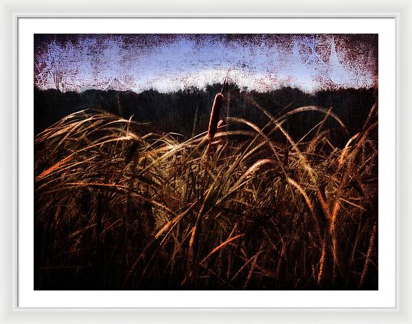 Cattails In The Wind - Framed Print