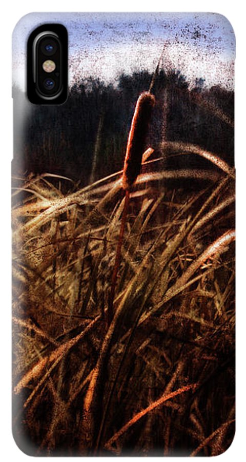 Cattails In The Wind - Phone Case