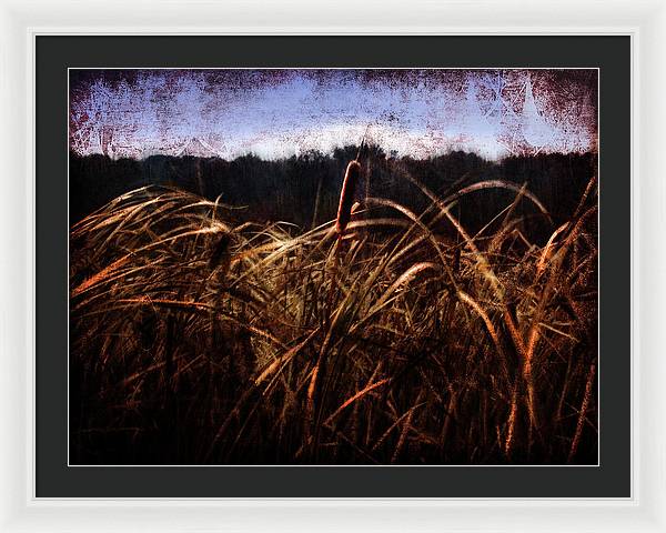 Cattails In The Wind - Framed Print