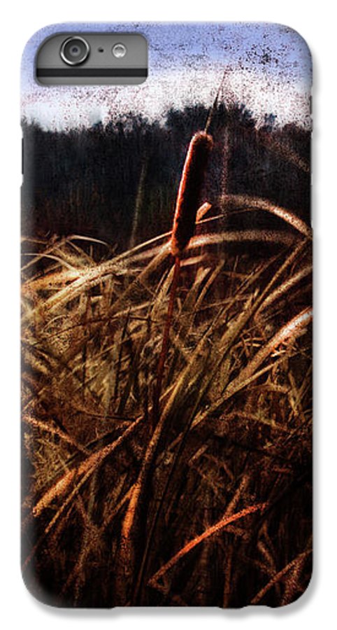 Cattails In The Wind - Phone Case