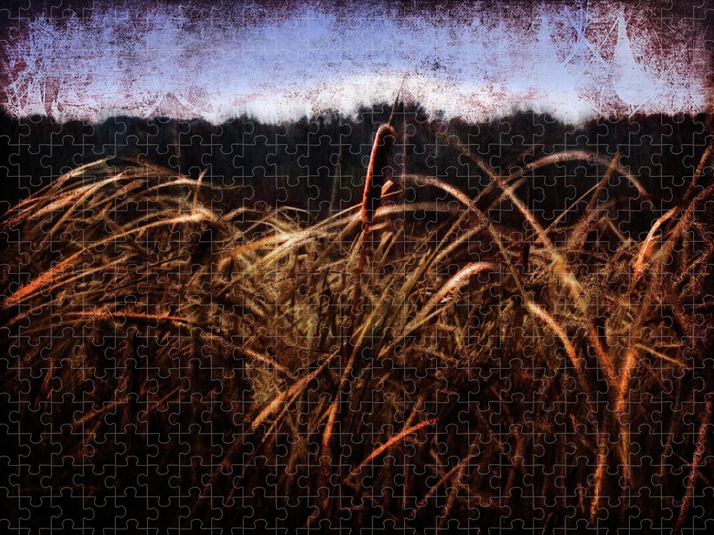 Cattails In The Wind - Puzzle