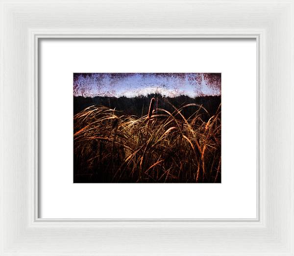 Cattails In The Wind - Framed Print