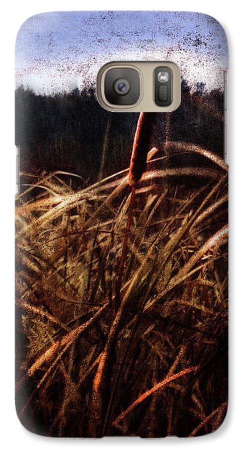 Cattails In The Wind - Phone Case