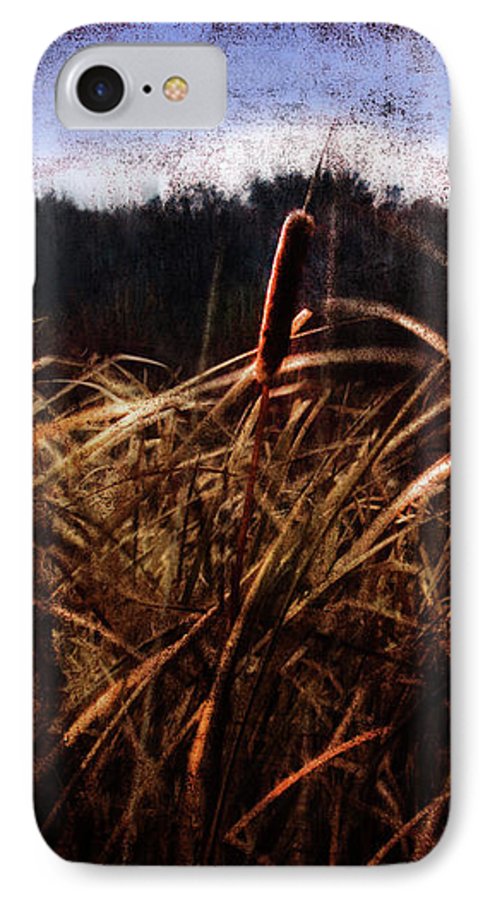 Cattails In The Wind - Phone Case