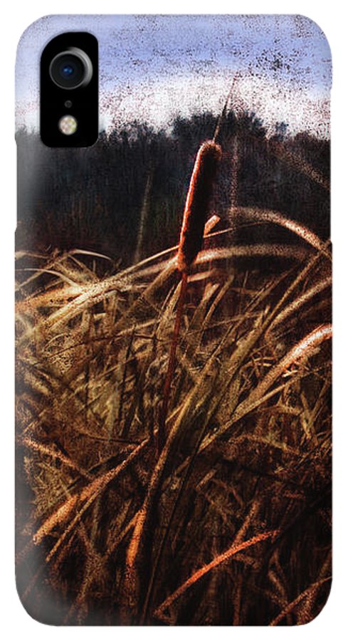 Cattails In The Wind - Phone Case