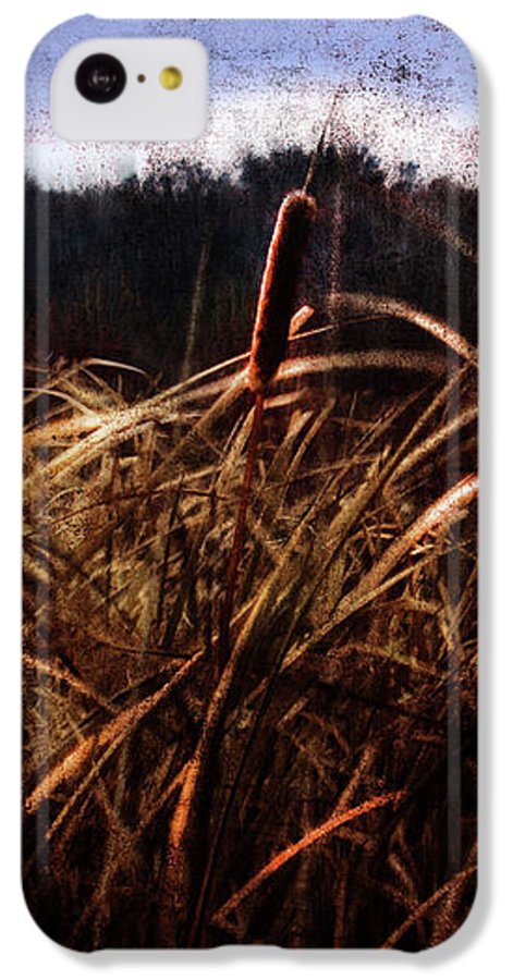 Cattails In The Wind - Phone Case