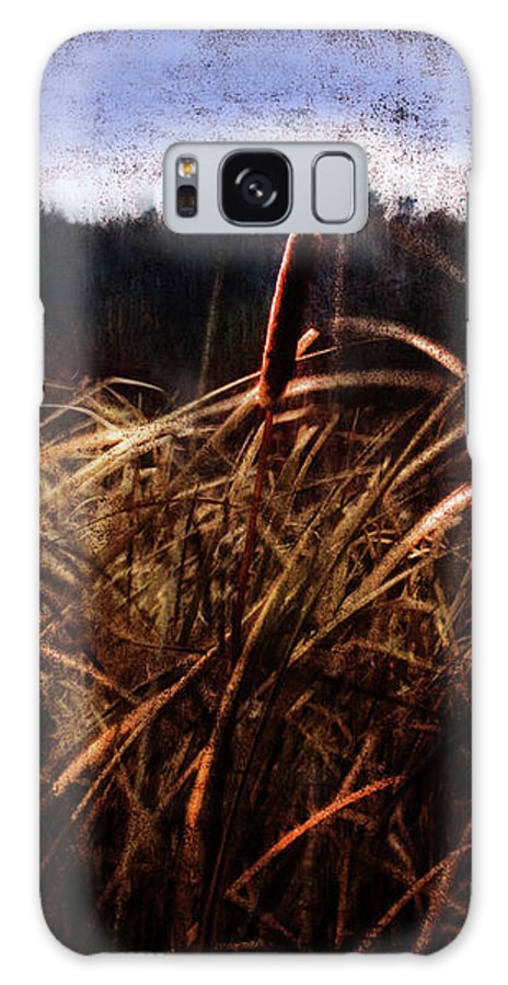 Cattails In The Wind - Phone Case