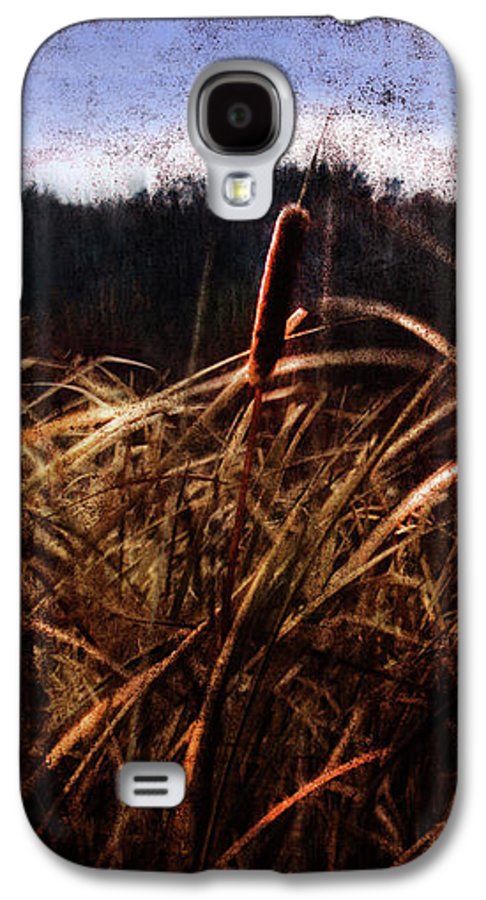 Cattails In The Wind - Phone Case