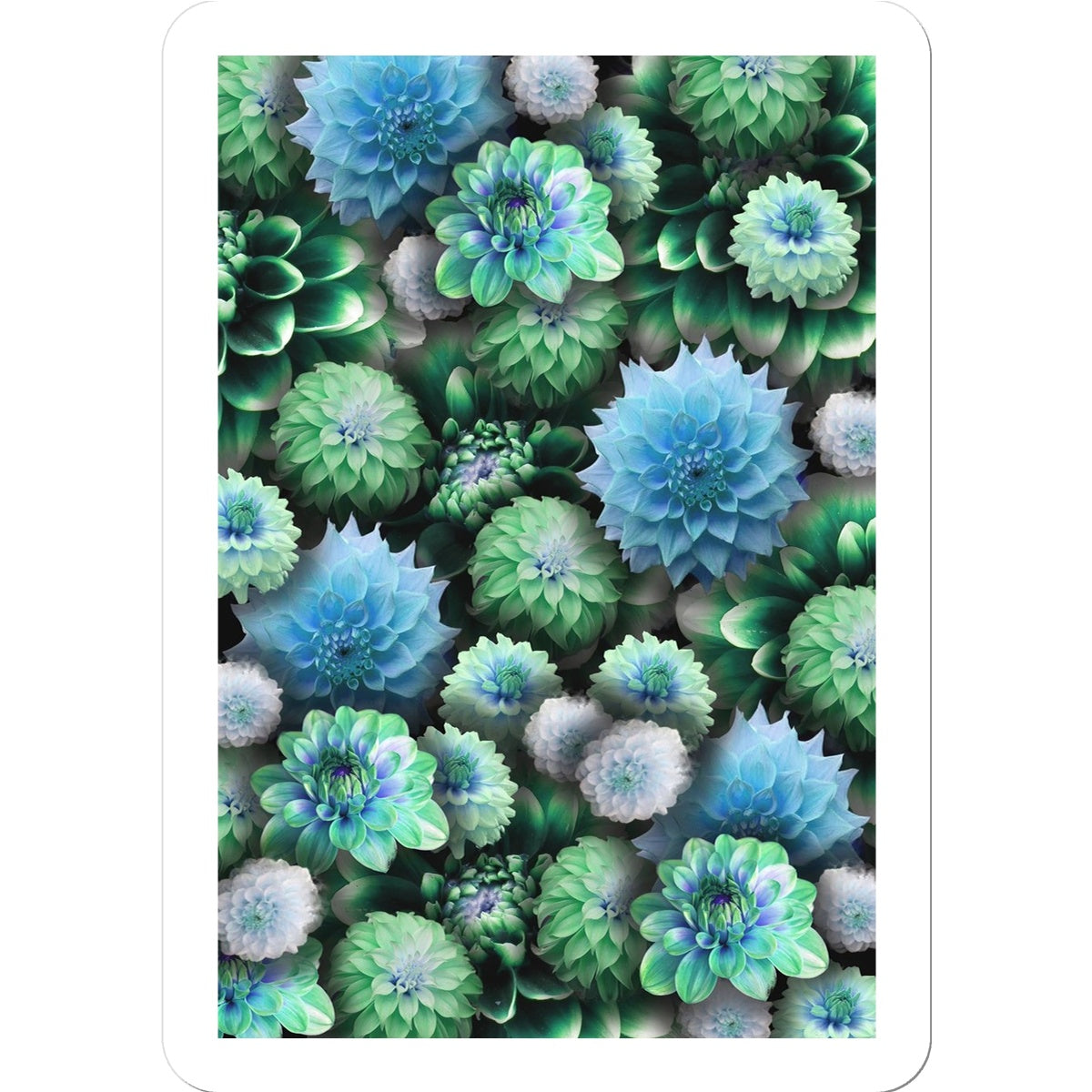 Blue Green Dahlias Sticker