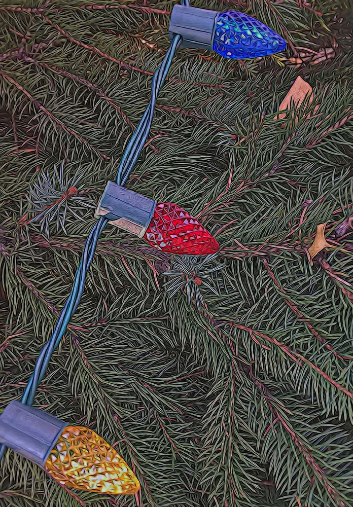 Christmas Lights On The Tree Digital Image Download