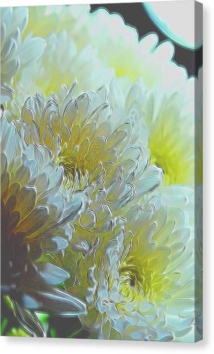 Chrysanthemums in White Light - Canvas Print