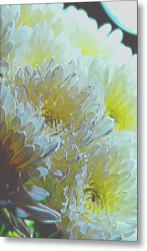 Chrysanthemums in White Light - Metal Print