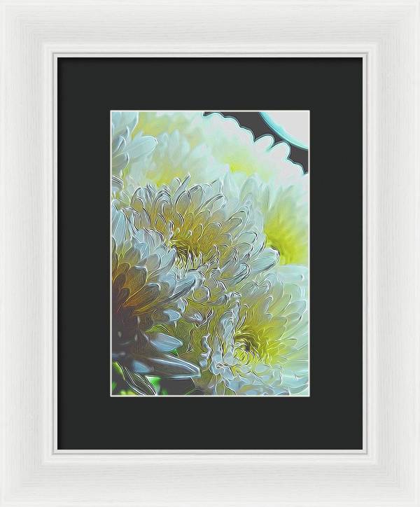 Chrysanthemums in White Light - Framed Print