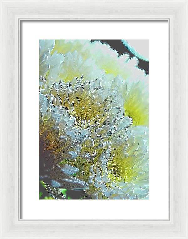 Chrysanthemums in White Light - Framed Print