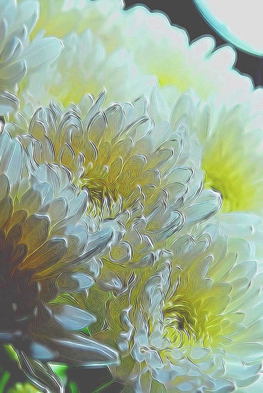 Chrysanthemums in White Light - Art Print