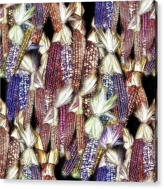 Colorful Fall Corn - Acrylic Print
