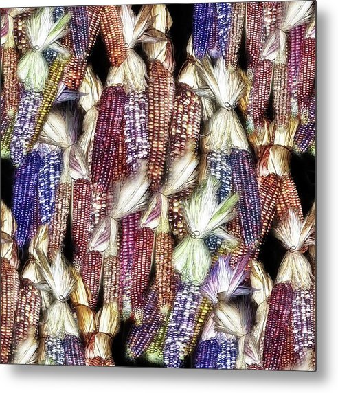 Colorful Fall Corn - Metal Print