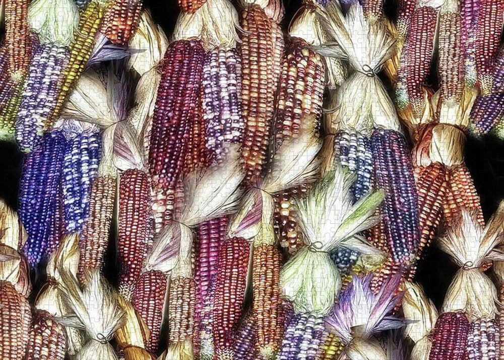 Colorful Fall Corn - Puzzle