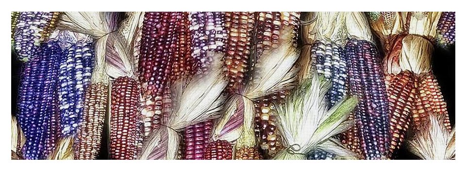Colorful Fall Corn - Yoga Mat