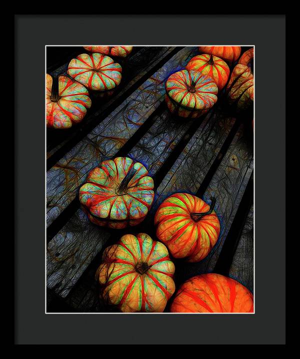 Colorful Fall Gourds - Framed Print