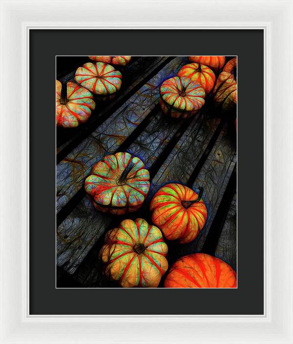 Colorful Fall Gourds - Framed Print